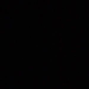 Meet your Posher, Dacoda